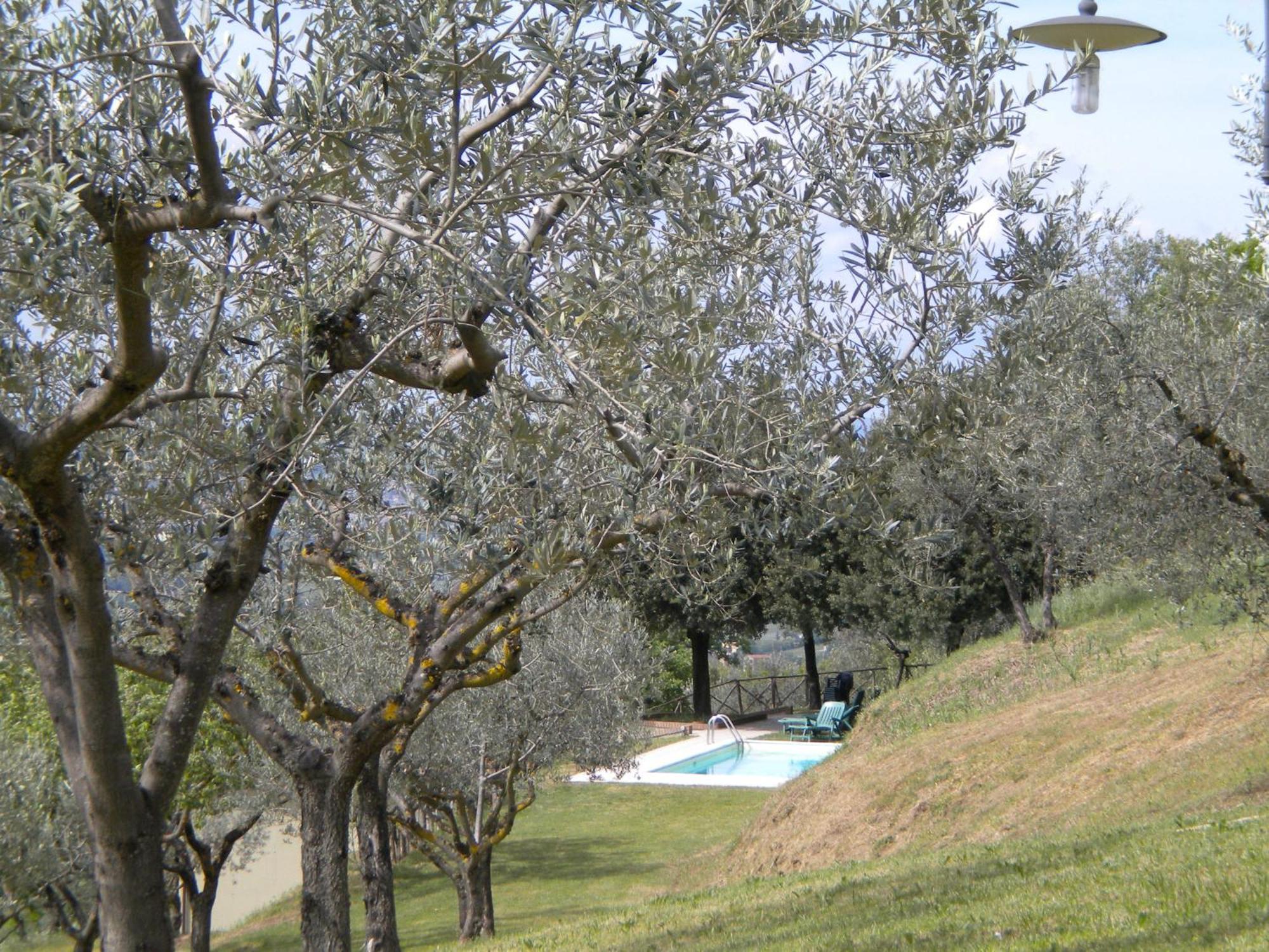 Il Poggio Delle Ginestre Guest House ตอร์จาโน ภายนอก รูปภาพ