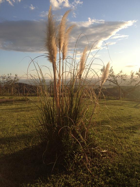 Il Poggio Delle Ginestre Guest House ตอร์จาโน ภายนอก รูปภาพ