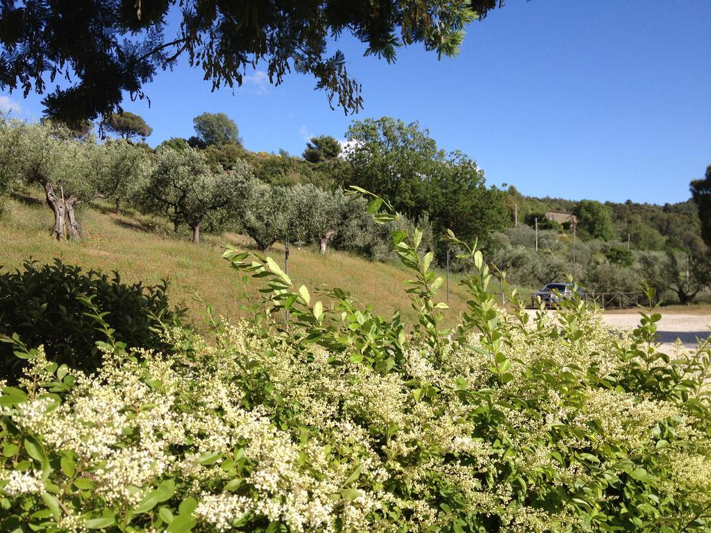 Il Poggio Delle Ginestre Guest House ตอร์จาโน ภายนอก รูปภาพ